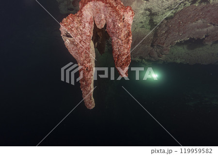 Diving in Mexican Cenote underwater cave with green gas cloud Diving in Mexican Cenote underwater cave with green gas cloud 119959582