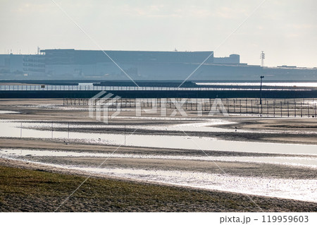 秋の朝　ふなばし三番瀬海浜公園の干潟（千葉県船橋市） 119959603