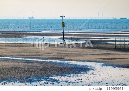秋の朝　ふなばし三番瀬海浜公園の干潟（千葉県船橋市） 119959614
