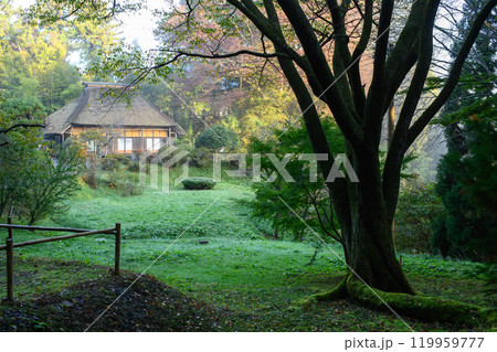 世界遺産中尊寺　静かな秋の朝　境内のお休み処　岩手県 119959777