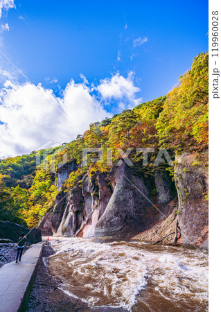 【群馬県】紅葉期の吹割の滝 119960028
