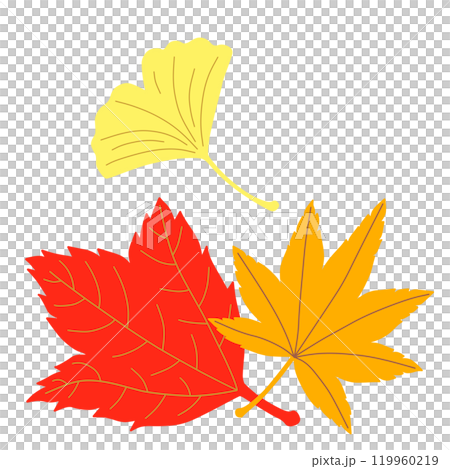 秋の葉っぱをあしらったイラスト素材 119960219