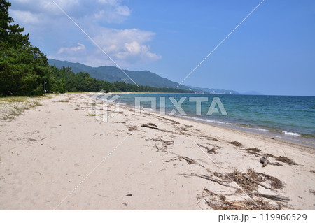 京都宮津・天橋立の白砂青松の砂浜 京都宮津・天橋立の白砂青松の砂浜 119960529