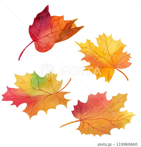 Set of watercolor autumn maple leaves. Watercolor illustration isolated on white background for design, cards, menus, posters, business Set of watercolor autumn maple leaves. Watercolor illustration isolated on white background for design, cards, menus, posters, business 119960660