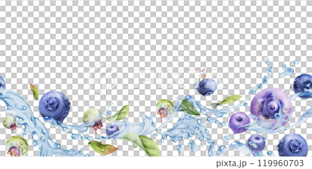 Blueberry blackberry flying in water splashes with drops, hand drawn in watercolor, ripe purple forest berry and leaves. Seamless banner illustration for restaurant, cafe menu, wedding, farmers market Blueberry blackberry flying in water splashes with drops, hand drawn in watercolor, ripe purple forest berry and leaves. Seamless banner illustration for restaurant, cafe menu, wedding, farmers market 119960703