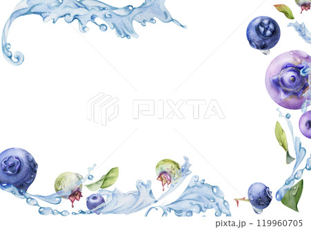 Blueberry blackberry flying in water splash with drops and green leaves, ripe summer forest berry hand drawn in watercolor. Isolated border frame illustration. Restaurant, cafe menu, farmers market Blueberry blackberry flying in water splash with drops and green leaves, ripe summer forest berry hand drawn in watercolor. Isolated border frame illustration. Restaurant, cafe menu, farmers market 119960705