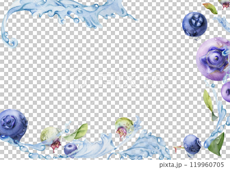 Blueberry blackberry flying in water splash with drops and green leaves, ripe summer forest berry hand drawn in watercolor. Isolated border frame illustration. Restaurant, cafe menu, farmers market Blueberry blackberry flying in water splash with drops and green leaves, ripe summer forest berry hand drawn in watercolor. Isolated border frame illustration. Restaurant, cafe menu, farmers market 119960705