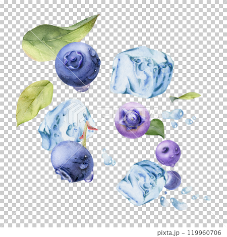 Blueberry blackberry flying in water splash with ice cubes, drops and green leaves, hand drawn in watercolor, ripe summer forest berry. Isolated illustration for restaurant, cafe menu, farmers market 119960706