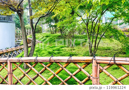 徳冨蘆花記念文学館 徳冨蘆花記念文学館 119961224