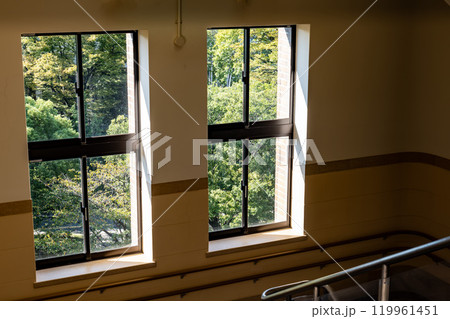 重厚でレトロな窓と緑あふれる屋外風景, 119961451