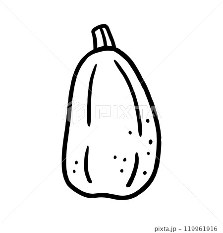 Pumpkin isolated on a white background. Pumpkin isolated on a white background. 119961916