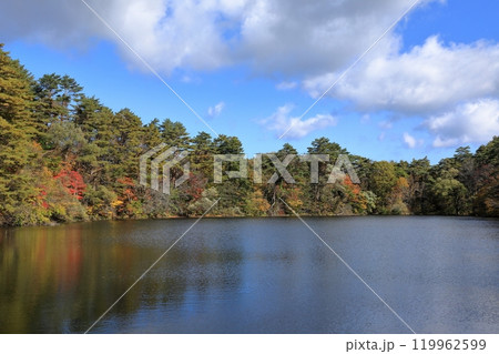 秋の五色沼湖沼群の柳沼の風景 秋の五色沼湖沼群の柳沼の風景 119962599