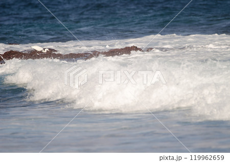 Little egret fishing among the waves. Little egret fishing among the waves. 119962659