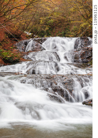 魚止めの滝 119963125