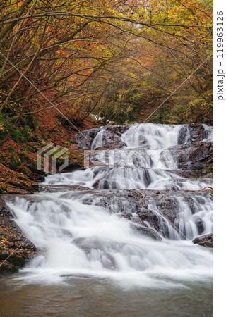魚止めの滝 魚止めの滝 119963126