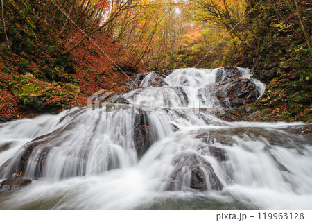 魚止めの滝 119963128