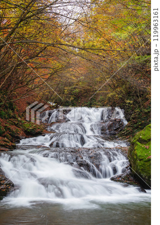 魚止めの滝 魚止めの滝 119963161