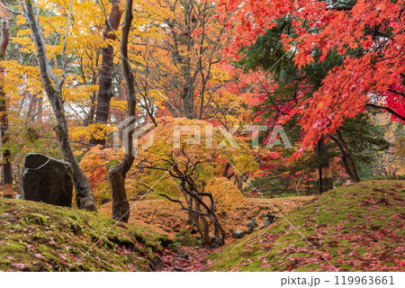 紅葉のある風景 紅葉のある風景 119963661