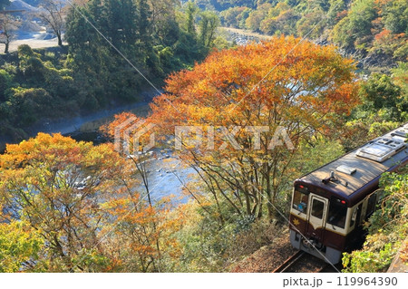 わたらせ渓谷鐵道「渡良瀬川沿いの紅葉と列車」 119964390