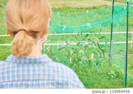 畑と女性 農家 家庭菜園 田舎暮らし 畑と女性 農家 家庭菜園 田舎暮らし 119964439