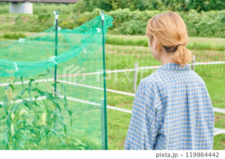 畑と女性 農家 家庭菜園 田舎暮らし 畑と女性 農家 家庭菜園 田舎暮らし 119964442