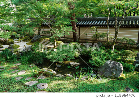 永観堂 苔の庭園 永観堂 苔の庭園 119964470