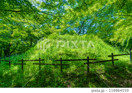 奈良県明日香村 史蹟 中尾山古墳 奈良県明日香村 史蹟 中尾山古墳 119964559