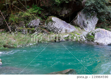 渓流　中津渓谷 119964590
