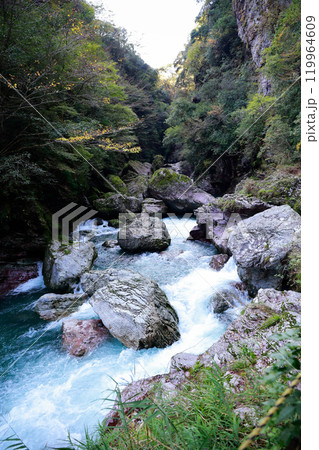 渓流　中津渓谷 119964609