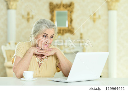 Beautiful elderly woman using a laptop at home Beautiful elderly woman using a laptop at home 119964661
