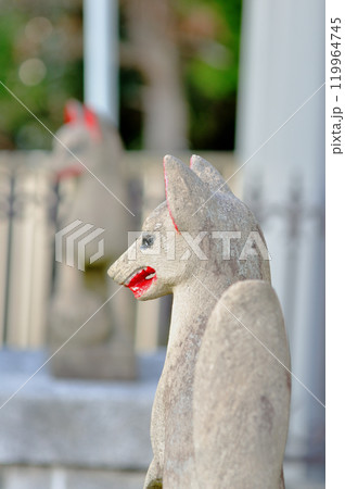 稲荷社の狐(神社の狐) 稲荷社の狐(神社の狐) 119964745