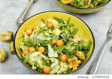 Salad from wild plants and physalis. Salad from wild plants and physalis. 119964818