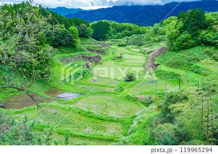 熊本県山都町 春の里山 田植え前の水田 熊本県山都町 春の里山 田植え前の水田 119965294