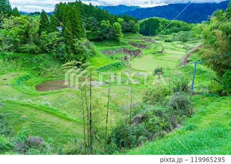 熊本県山都町　春の里山　田植え前の水田 119965295