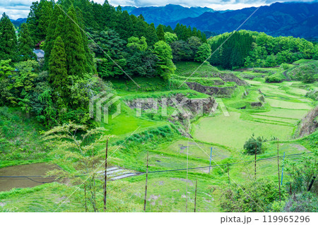 熊本県山都町 春の里山 田植え前の水田 熊本県山都町 春の里山 田植え前の水田 119965296
