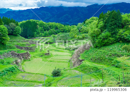 熊本県山都町　春の里山　田植え前の水田 119965306