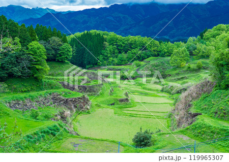 熊本県山都町 春の里山 田植え前の水田 熊本県山都町 春の里山 田植え前の水田 119965307