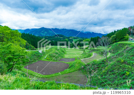 熊本県山都町 春の里山 田植え前の水田 熊本県山都町 春の里山 田植え前の水田 119965310