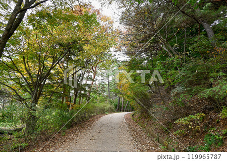 世界遺産/南漢山城　秋の散策路 【韓国/京畿道】 119965787