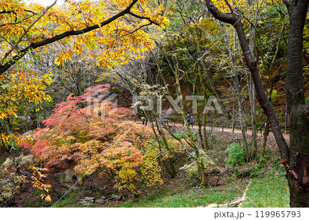 世界遺産/南漢山城 秋の散策路 【韓国/京畿道】 世界遺産/南漢山城 秋の散策路 【韓国/京畿道】 119965793
