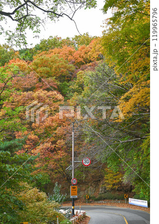 紅葉の南漢山城路【韓国/城南市】 119965796