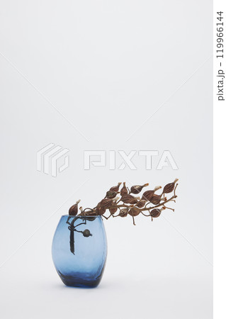 青色の花瓶と月桃の実のドライフラワー 119966144