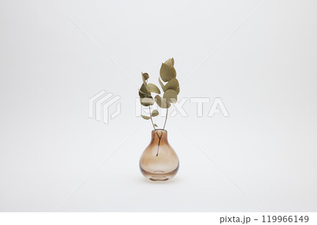 オレンジの花瓶とユーカリのドライフラワー オレンジの花瓶とユーカリのドライフラワー 119966149