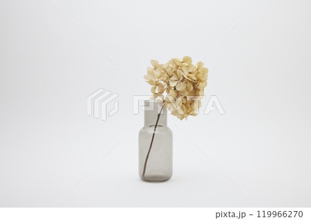 グレーの花瓶と紫陽花のドライフラワー グレーの花瓶と紫陽花のドライフラワー 119966270