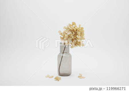 グレーの花瓶と紫陽花のドライフラワー グレーの花瓶と紫陽花のドライフラワー 119966271
