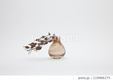 オレンジ色の花瓶と月桃の実のドライフラワー オレンジ色の花瓶と月桃の実のドライフラワー 119966275