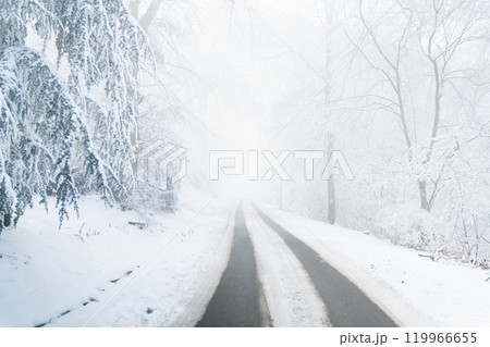 Winter landscape with snow-covered trees and road 119966655