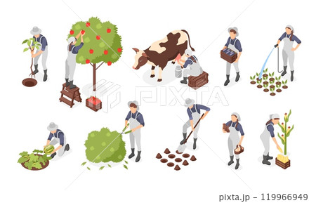 Isometric garden agriculture elements. Farmers collect harvest, fruits and vegetables. Workers with cow and chicken, farm animals, flawless vector set 119966949