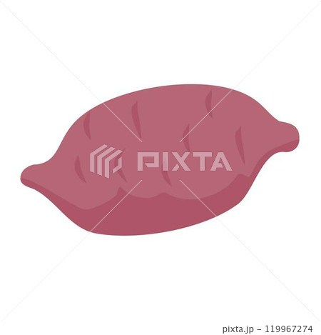 sweet potato illustration vector in purple root color 119967274
