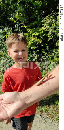 The child looks with excitement at a praying mantis sitting on an adult's hand. The child looks with excitement at a praying mantis sitting on an adult's hand. 119967332